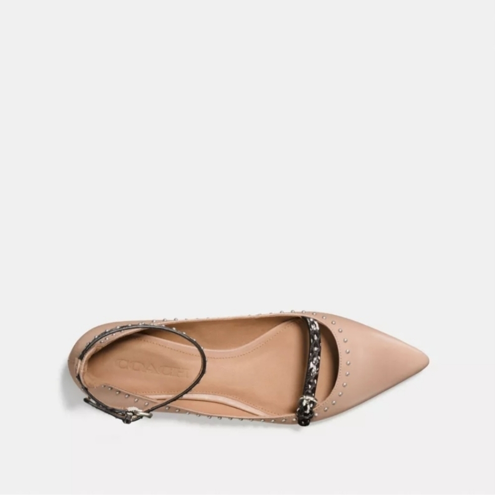 Coach Nude-Beachwood Jody Flats - Picture 2 of 15